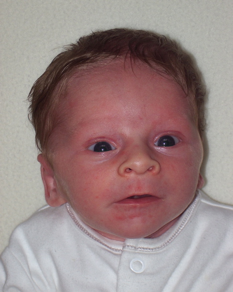 Passport photo