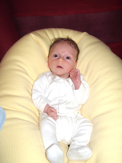 7 weeks old