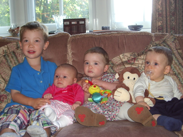 spot the monkey!