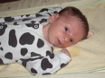 3 weeks old