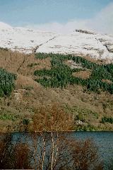 On the bonnie banks of Loch Lomond