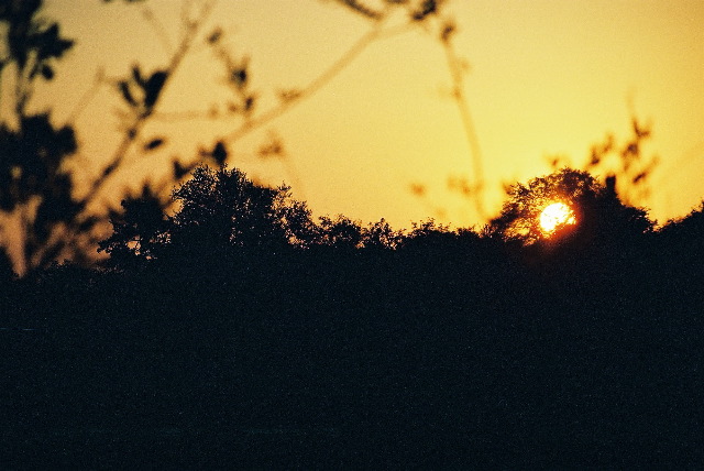 Sunrise at Sirheni Rest Camp