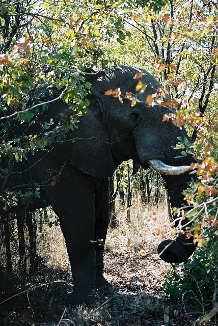 One of our neighbours!