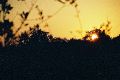 Sunrise at Sirheni Rest Camp